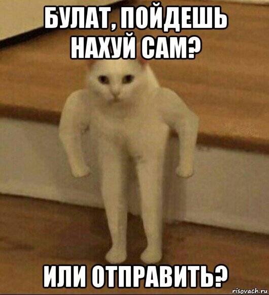 Мем Полукот