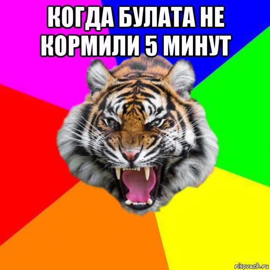 Булат Мем гачи