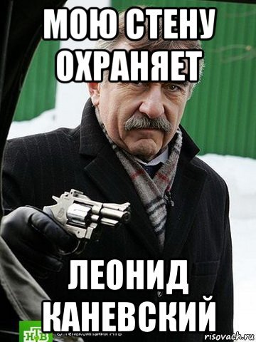 Леонид Каневский мемы