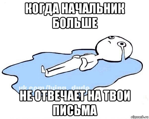 Плачущий чел Мем в луже