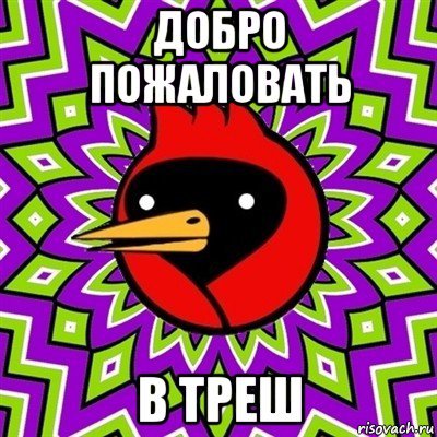 Омская птица расклеился