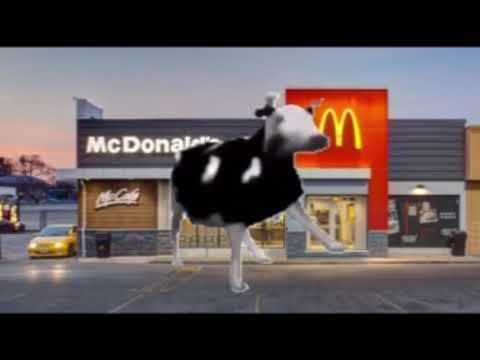 Смешные коровы