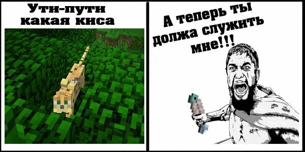 Мемы про майнкрафт