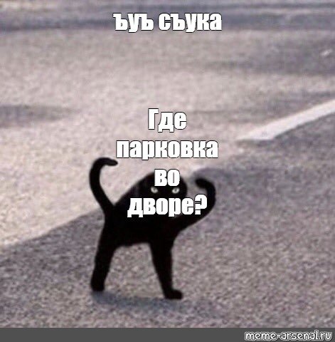 Мем чёрный кот ЪУЪ