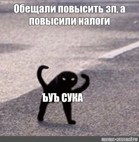 Мем чёрный кот ЪУЪ