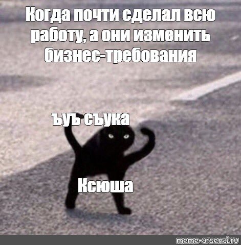 Черный кот на руках
