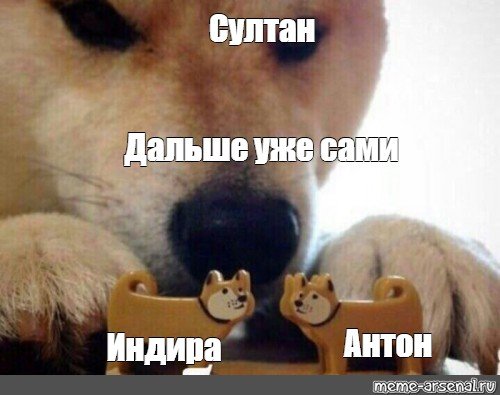 С днём рождения финдира