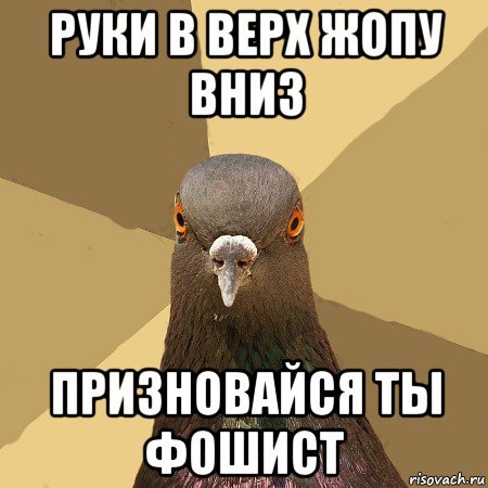 Мемы про инессу (49 фото)