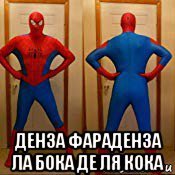 Денза фараденза унитаз