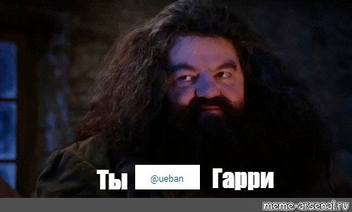Мем Хагрид ты волшебник