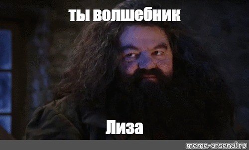 Хагрид ты волшебник Гарри Мем