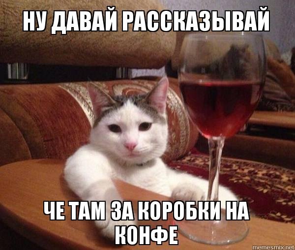 Мем коты с фужерами
