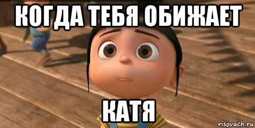 Дратути кот