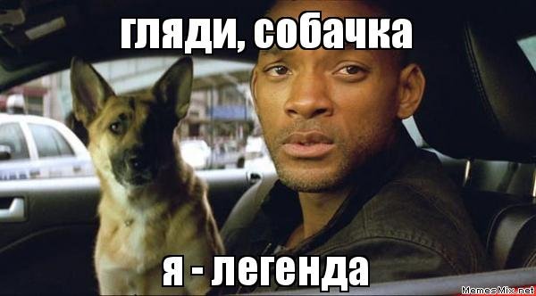 Я Легенда Мем 2021