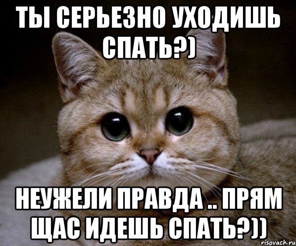 Мемы иди спать кот