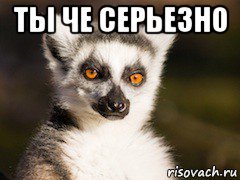 Ты че серьезно Мем