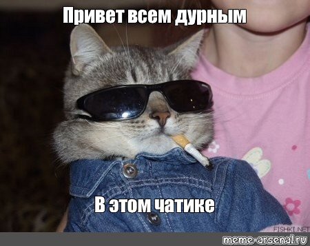 Всем привет Мем