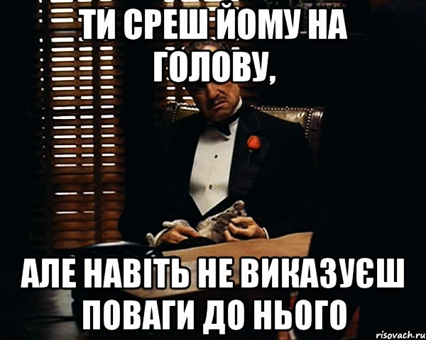 Сегодня не среш Мем крокодил