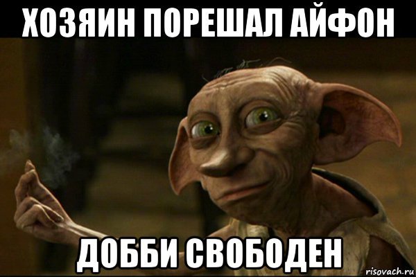 Добби и хозяин Мем