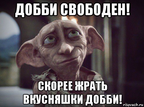 Добби сдал госы Добби свободен