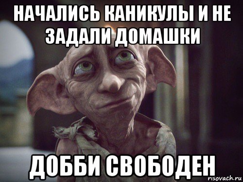 Добби на каникулах