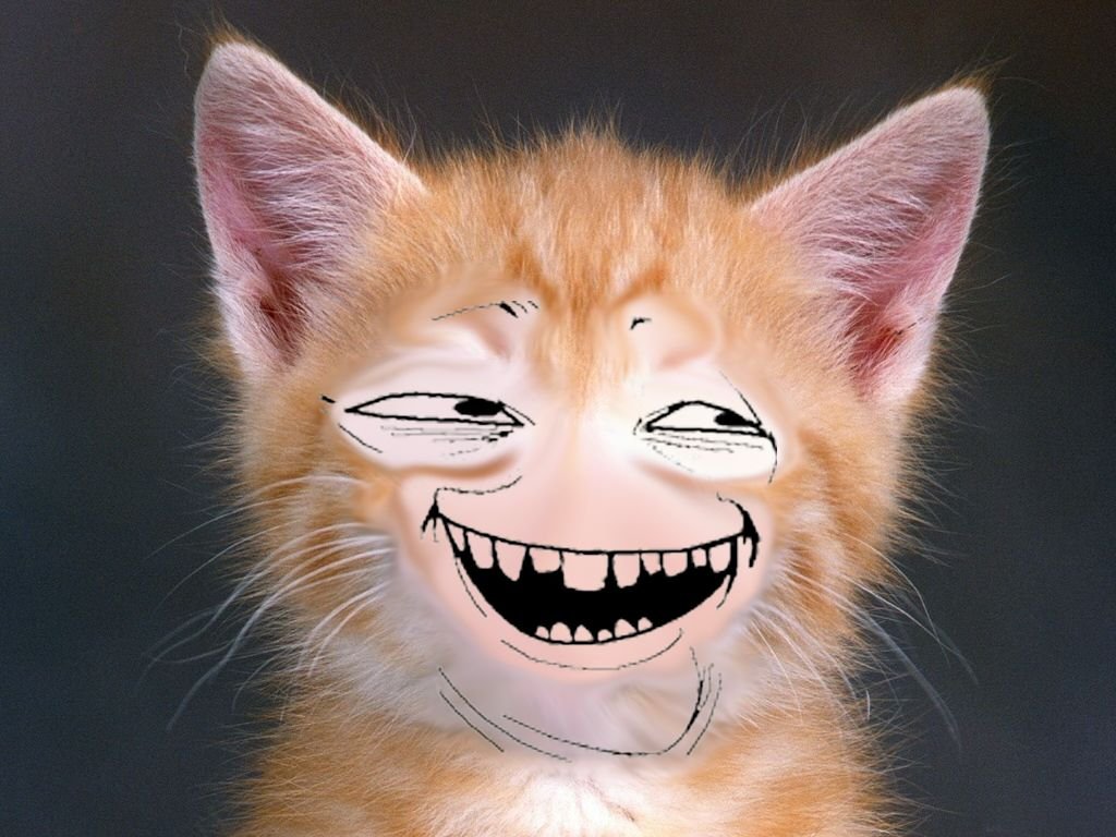 Чудеса смеха. Улыбка кота. Кот улыбается. Котик ухмыляется. Смешной кот улыбается.