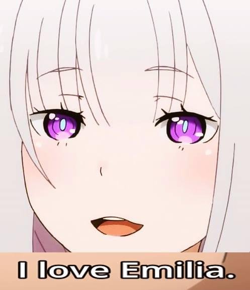 Эмилия Ре Зеро мемы