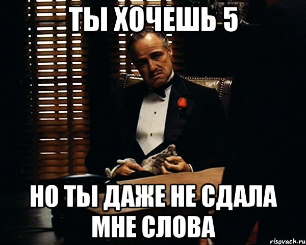 Хочу пятерку