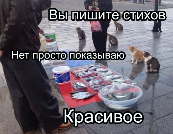 Рыбу продаете красивое
