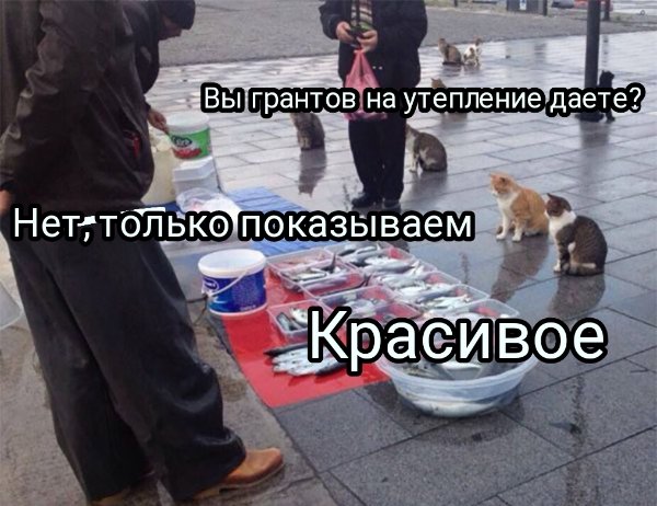 Продаете просто показываю
