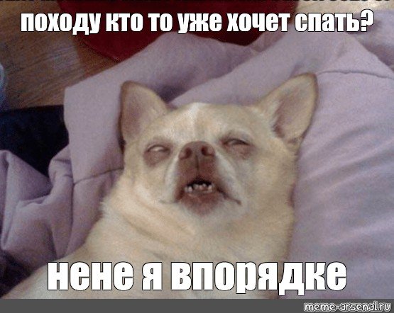 Собака проснулась Мем