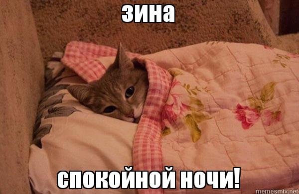 Спокойной ночи Зина