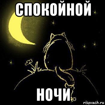 Спокойной ночи Саша Мем