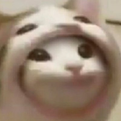 Popcat Мем