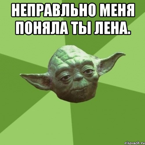 Йода Мем понял