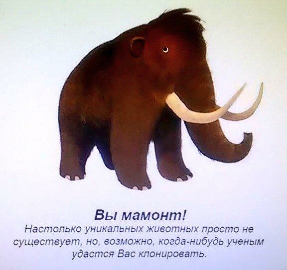 Заскамили мамонта