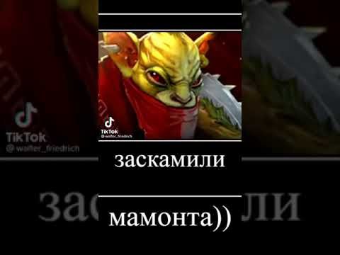 Заскамил Мамонтов Мем