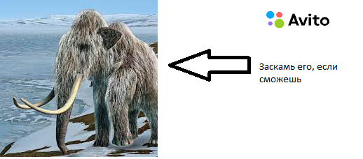 Заскамил мамонта