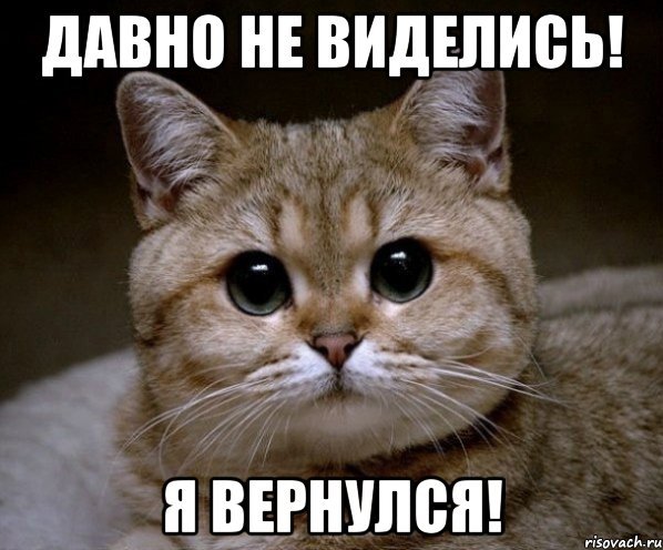 Я вернусь