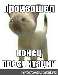 Мемы для конца презентации