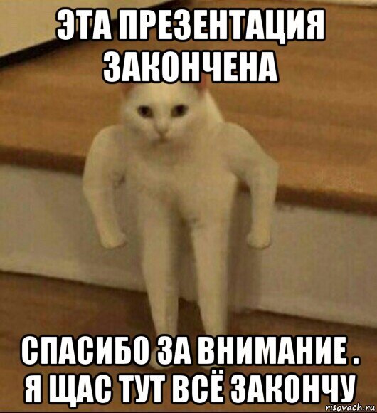 Презентация окончена спасибо за внимание