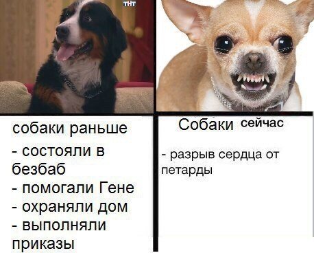 Современные собаки и раньше