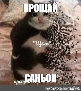 Прощайте Мем с котом