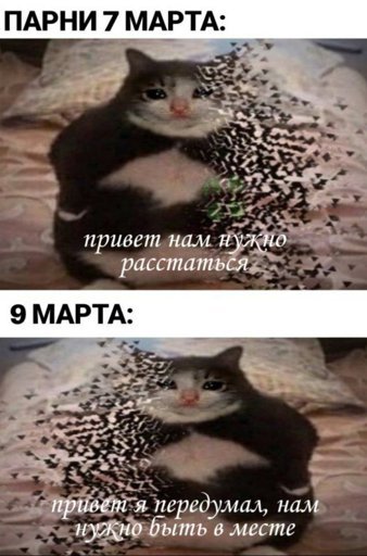 Ты что наделал Мем с котом