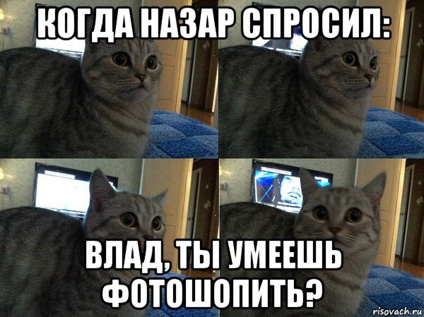 Мем с исчезновением кота