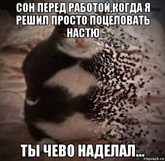 Мем с котиком ты чего наделал