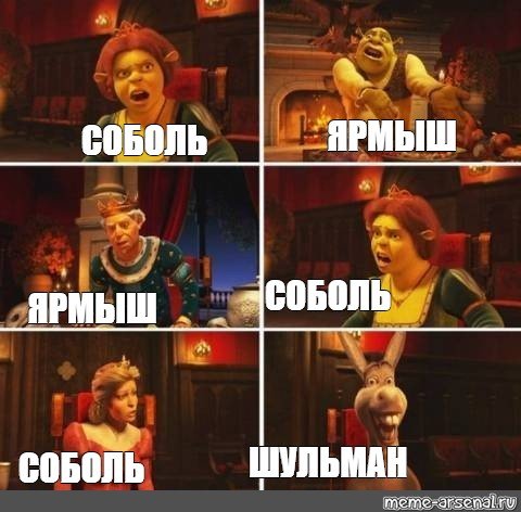 Шульман пикет