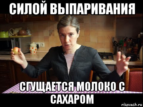 Екатерина Шульман Мем