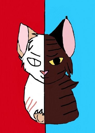 Ехидный кот