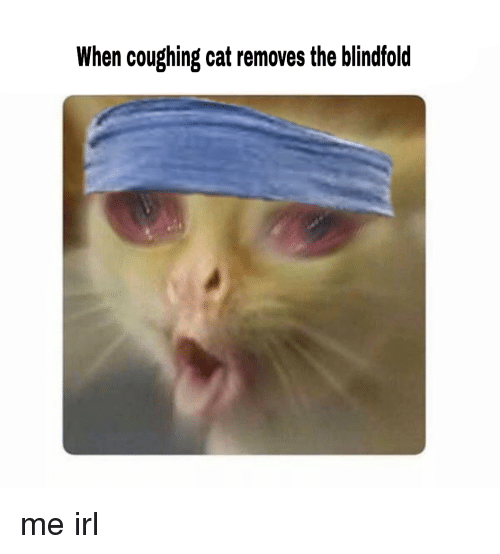 Котик кашляет